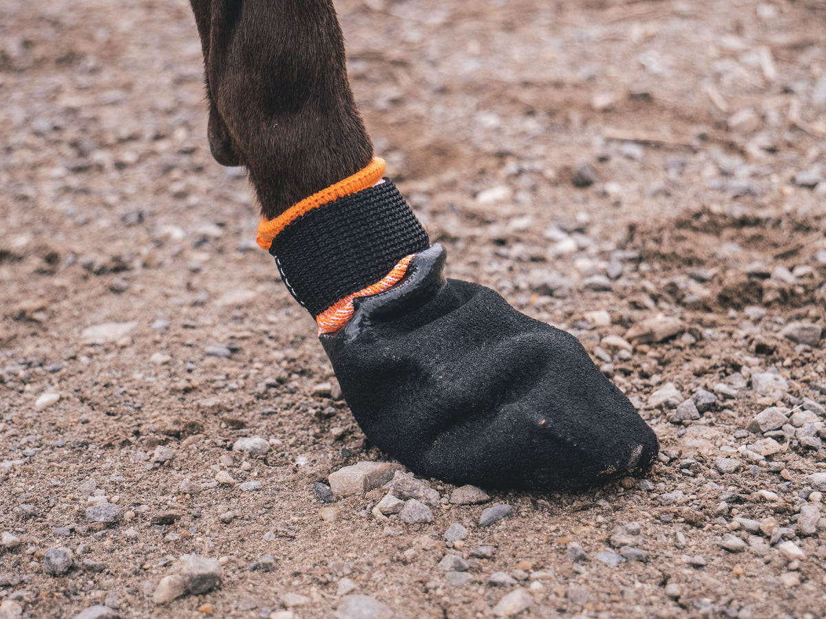 Dog Paw Bootie Set product image 4