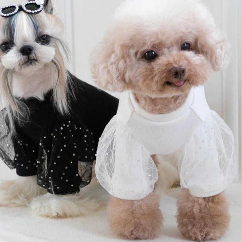 Dog Blouse product image 1