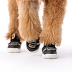 Dog Sneakers product image 2