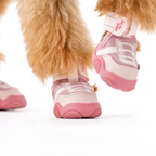 Dog Sneakers product image 13