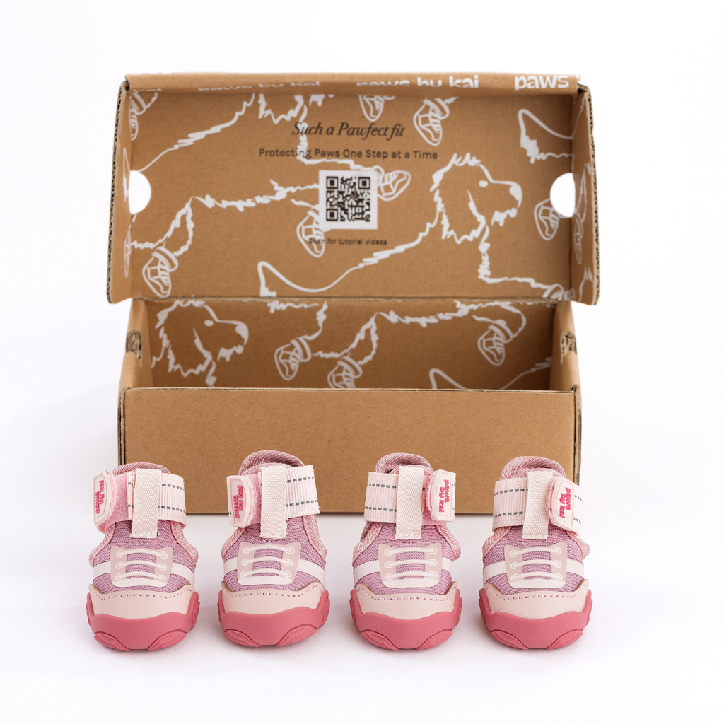 Dog Sneakers product image 15