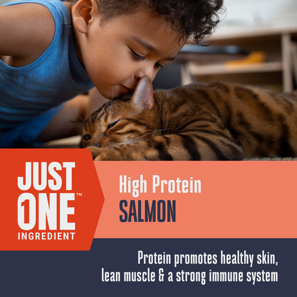Freeze-Dried Salmon Cat Treats product image 3