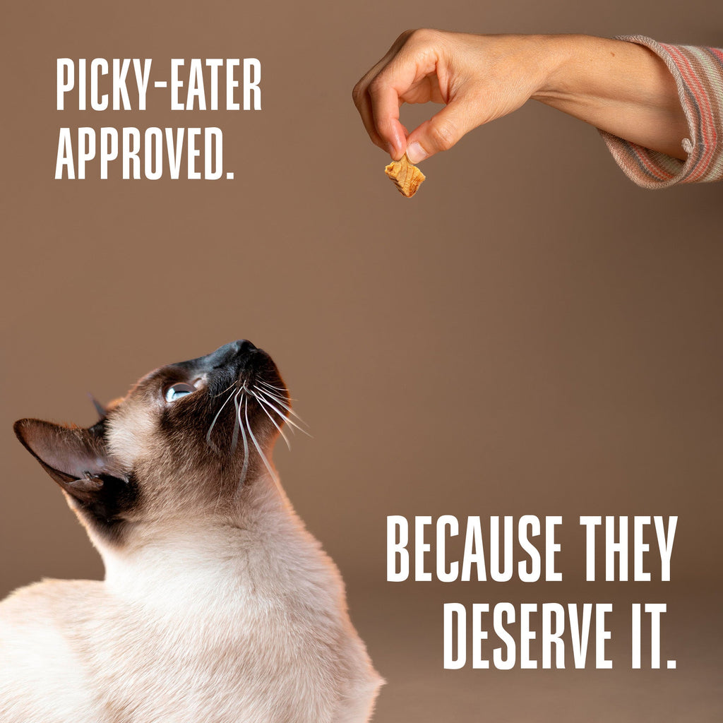 Freeze-Dried Salmon Cat Treats product image 6