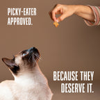 Freeze-Dried Salmon Cat Treats product image 6