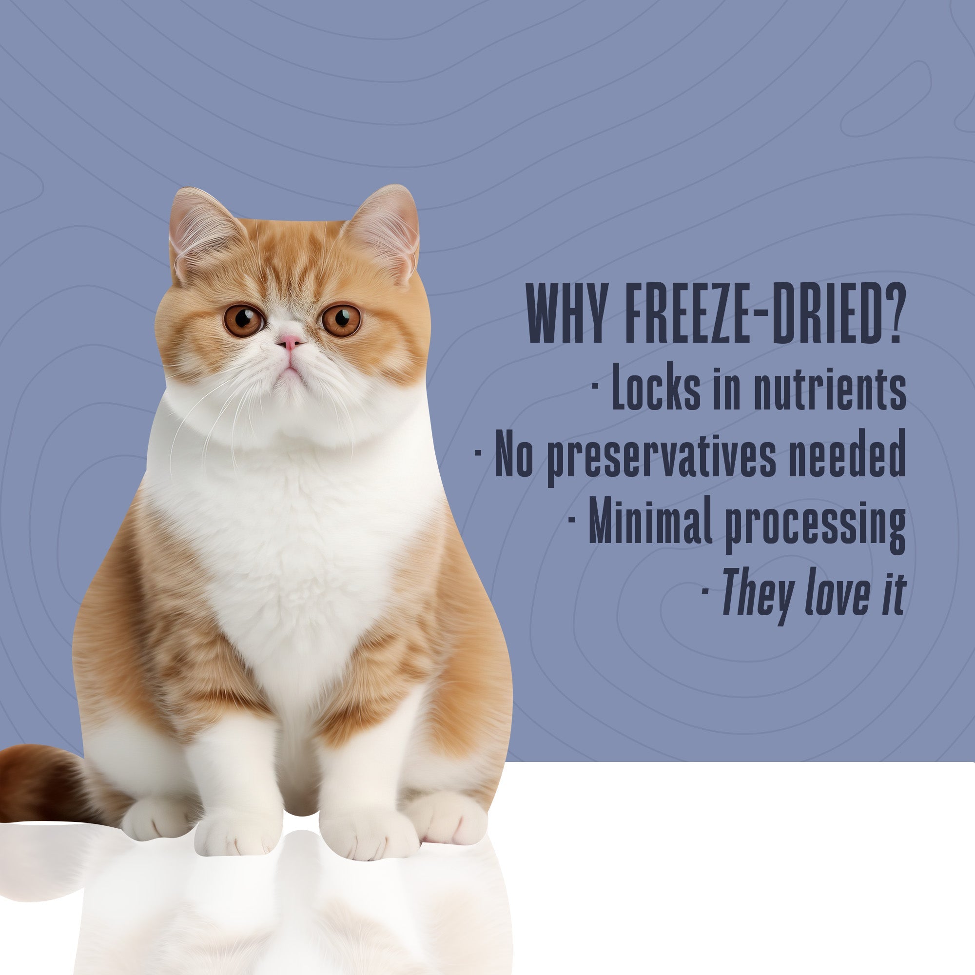 Cat Treats product image 4