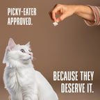 Cat Treats product image 6