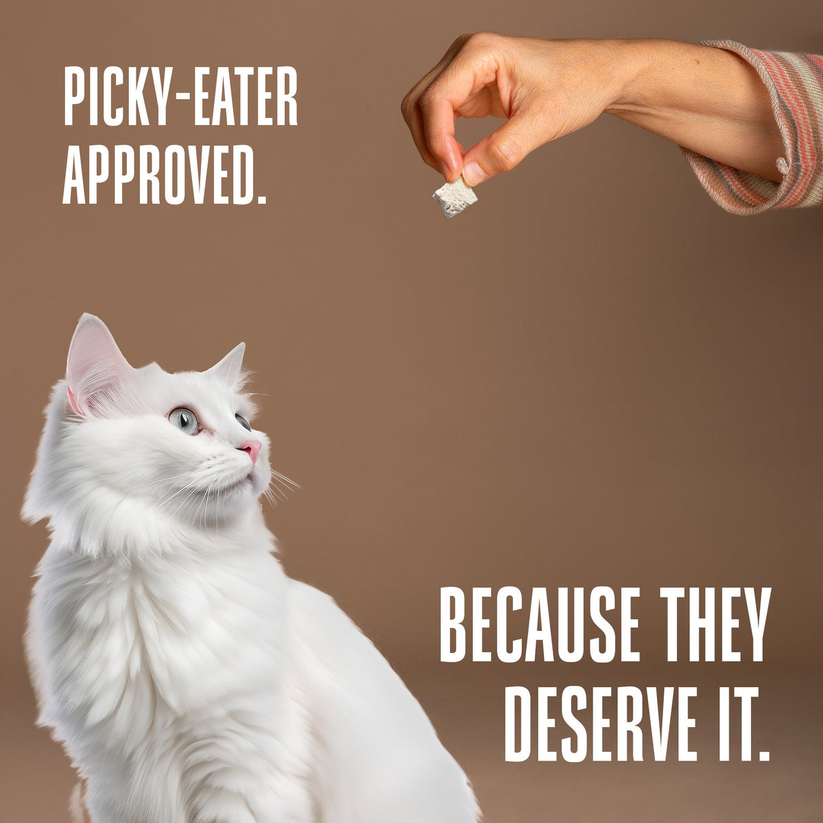 Cat Treats product image 6
