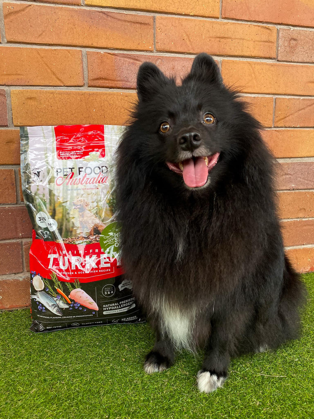 Dry Dog Food product image 4