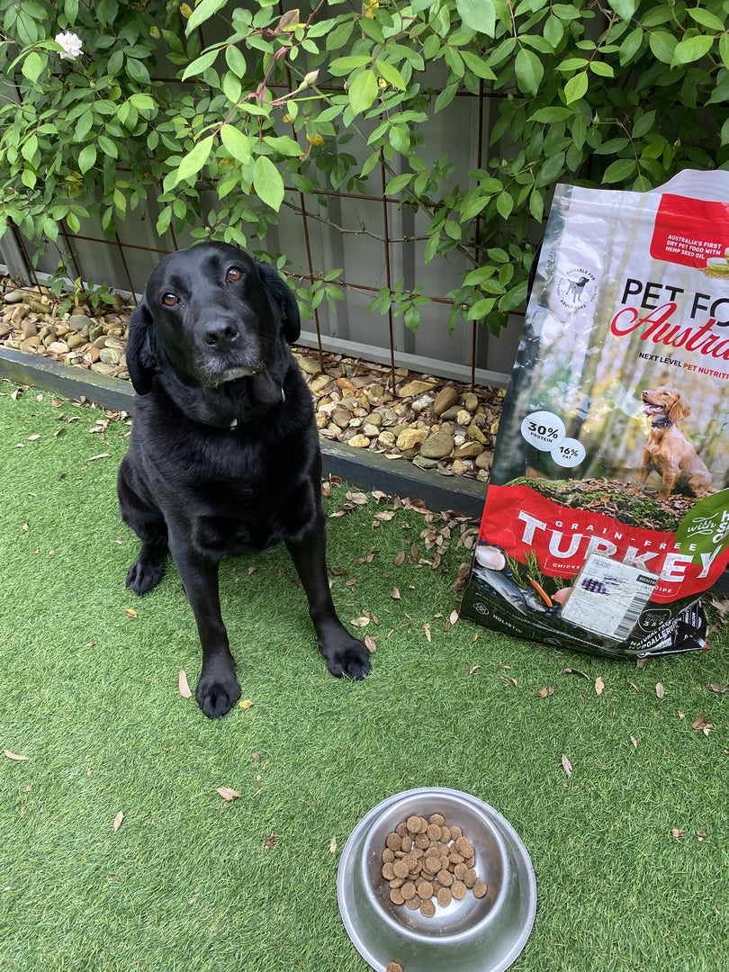 Dry Dog Food product image 10