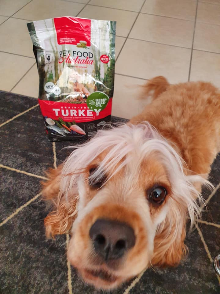 Dry Dog Food product image 13