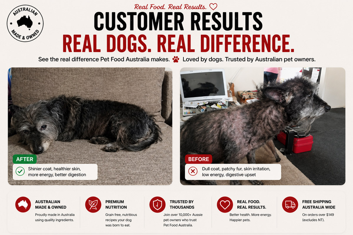 Dry Dog Food product image 18