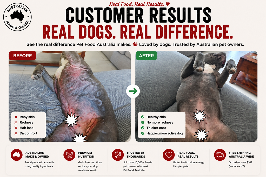 Dry Dog Food product image 19