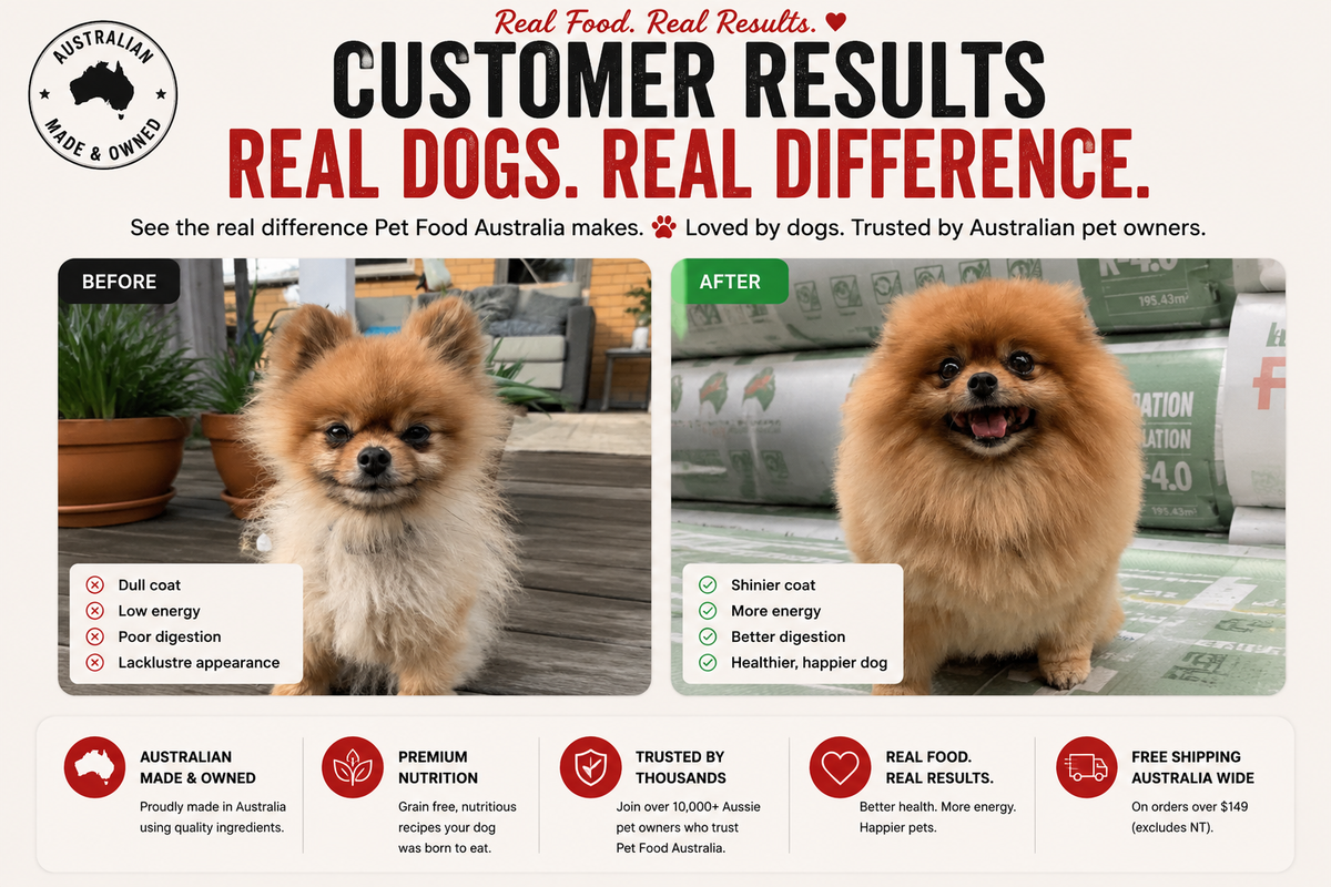 Dry Dog Food product image 21