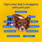Liquid Dog Joint Supplement product image 4