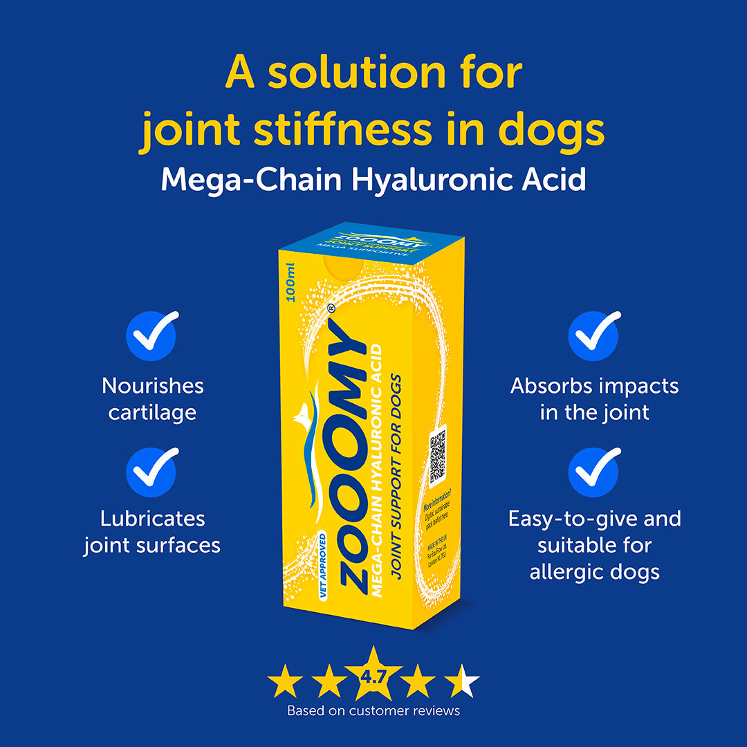Liquid Dog Joint Supplement product image 7