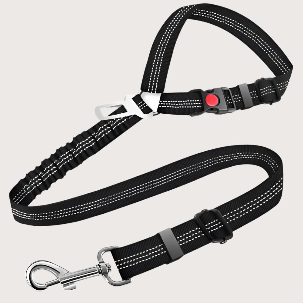 Cat Car Harness product image 1