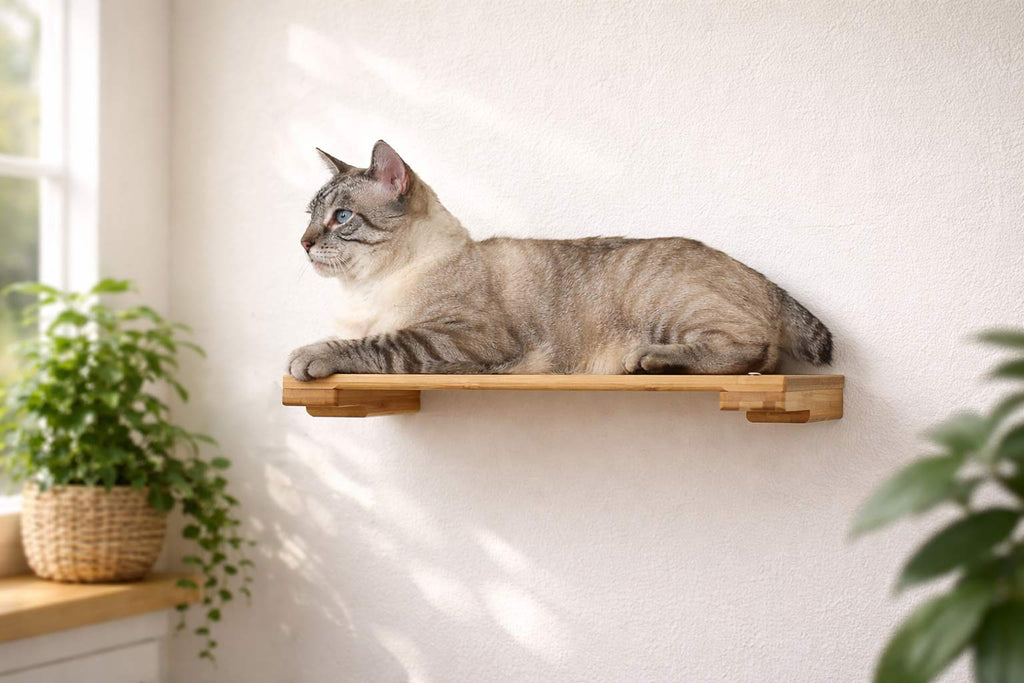 Wall Mounted Cat Shelf product image 1