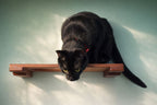 Wall Mounted Cat Shelf product image 5