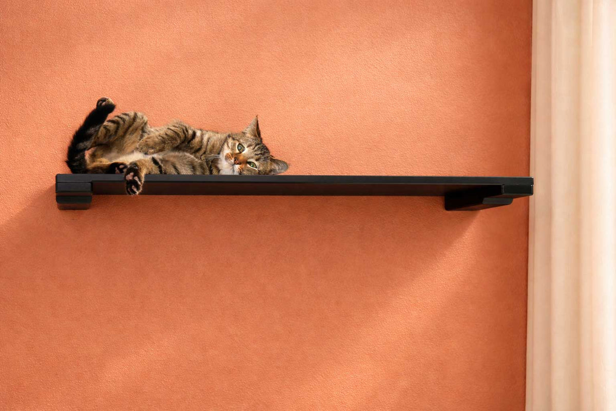 Wall Mounted Cat Shelf product image 7
