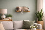 Wall Mounted Cat Shelf product image 9