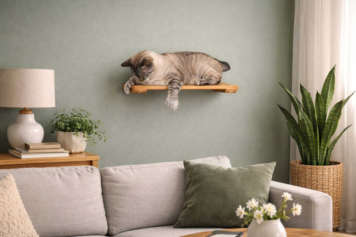 Wall Mounted Cat Shelf product image 9