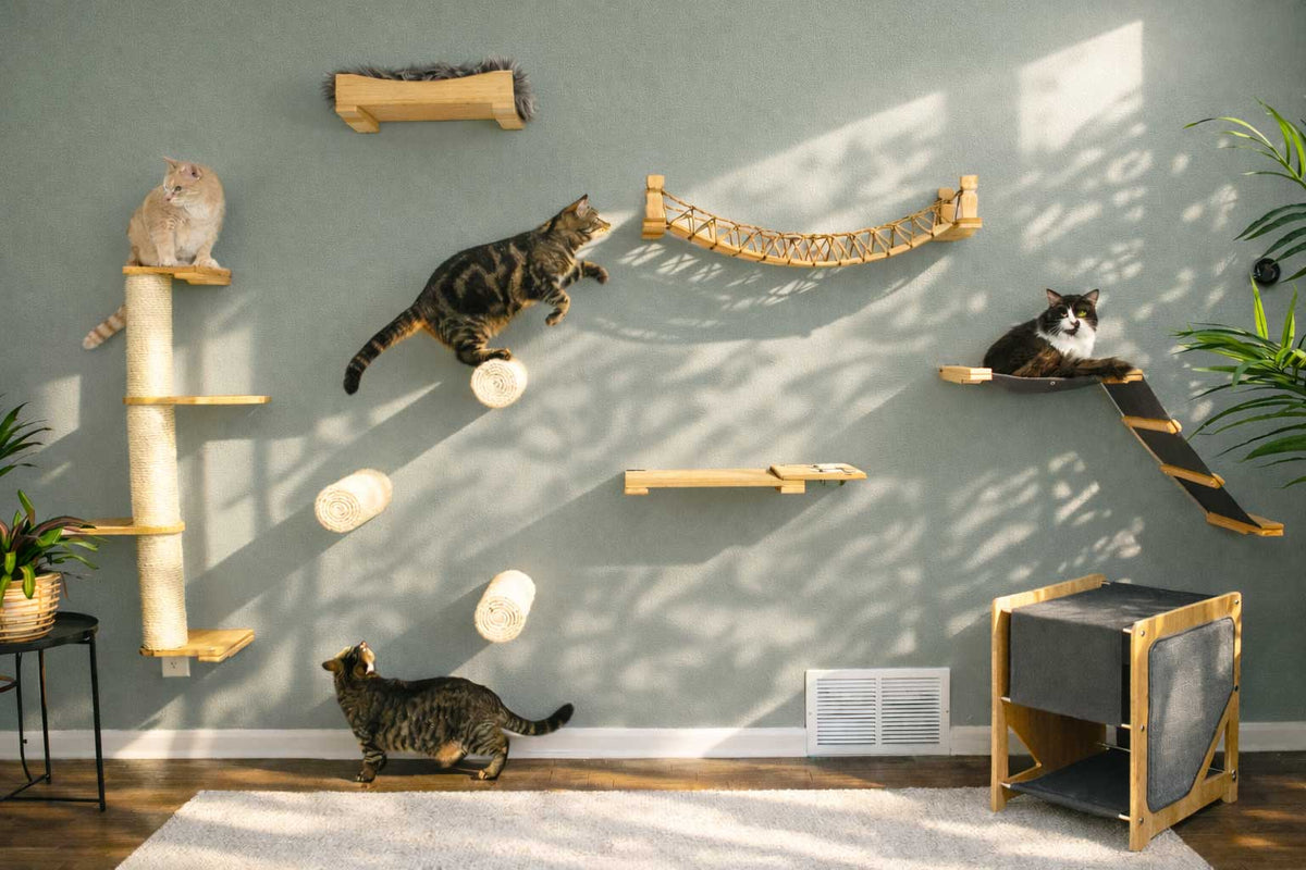 Wall Mounted Cat Shelf product image 11