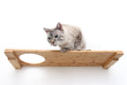 Wall Mounted Cat Shelf product image 17