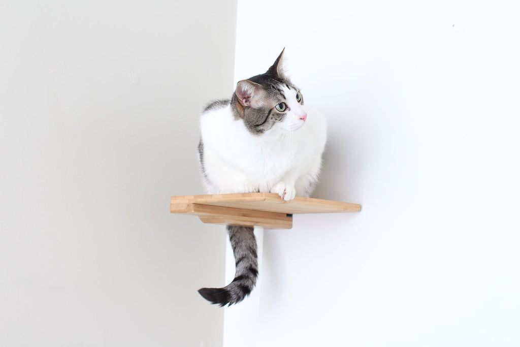 Cat Climbing Shelf product image 1