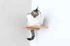 Cat Climbing Shelf product image 1