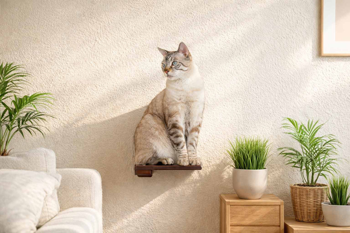 Cat Climbing Shelf product image 3
