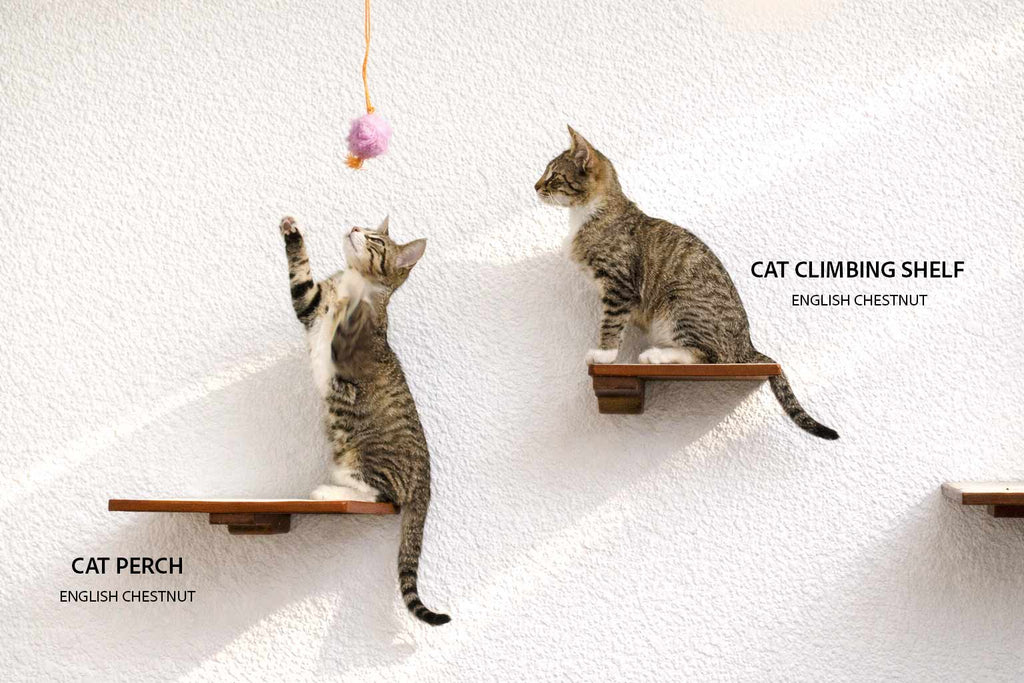 Cat Climbing Shelf product image 4