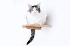 Cat Climbing Shelf product image 5
