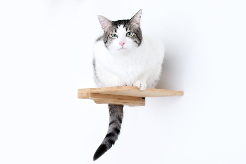 Cat Climbing Shelf product image 5