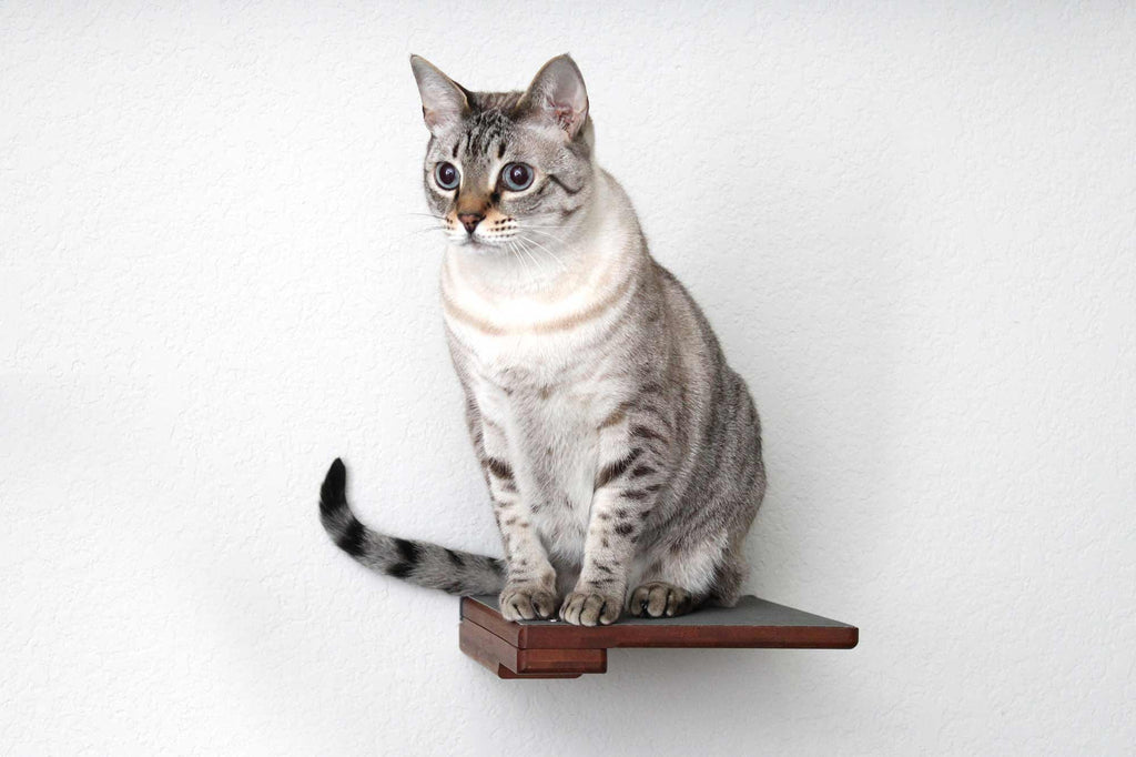 Cat Climbing Shelf product image 6