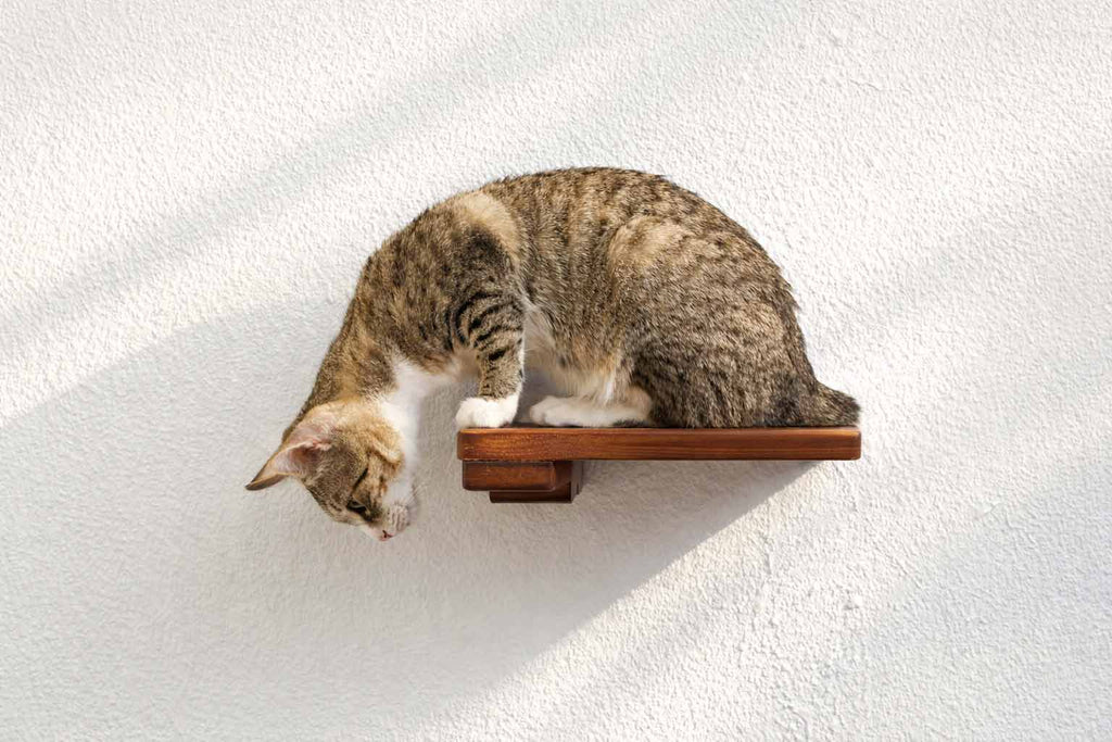 Cat Climbing Shelf product image 8