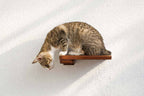Cat Climbing Shelf product image 8