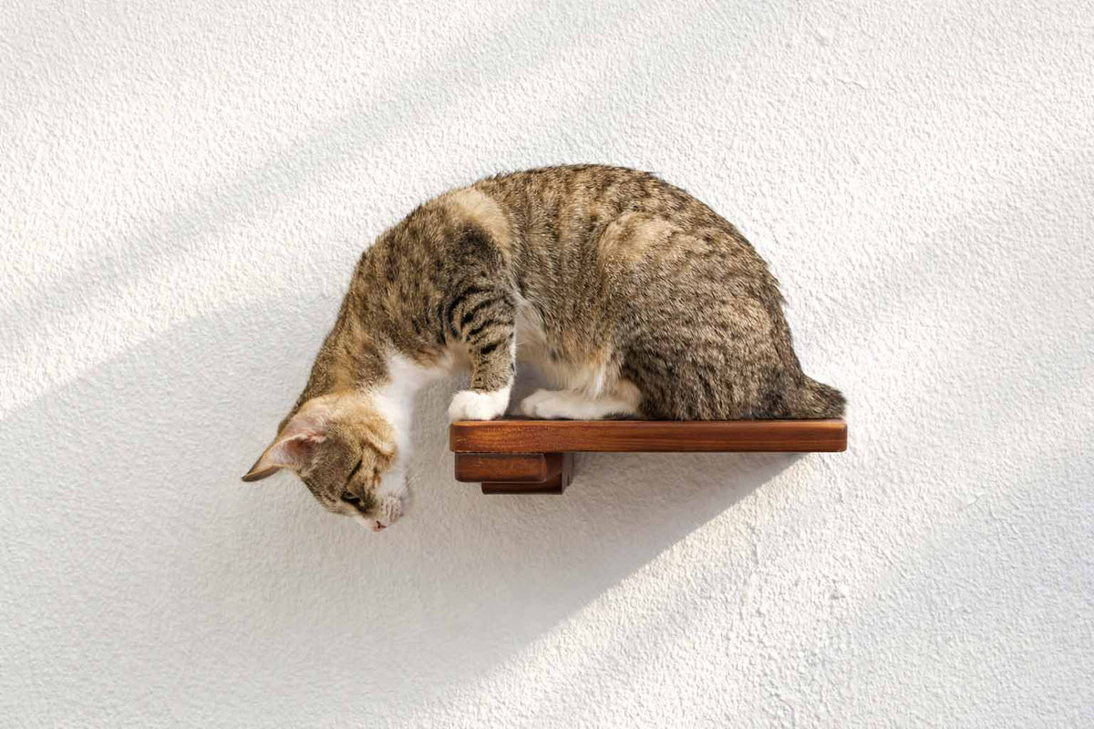 Cat Climbing Shelf product image 8