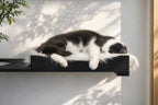 Wall-Mounted Cat Bed product image 3