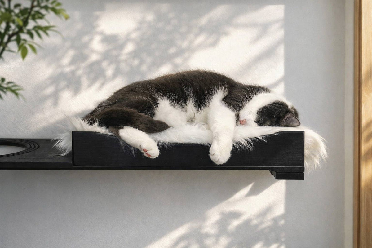 Wall-Mounted Cat Bed product image 3