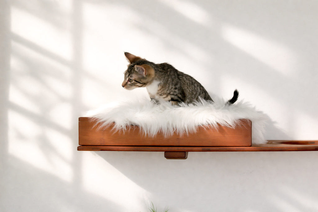 Wall-Mounted Cat Bed product image 6