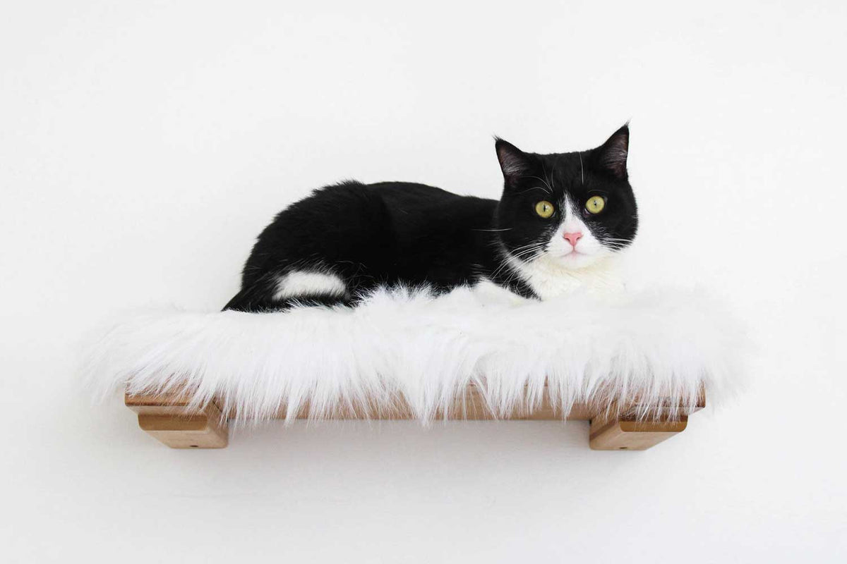 Wall-Mounted Cat Bed product image 16