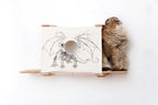 Cat Cubby Bed product image 2