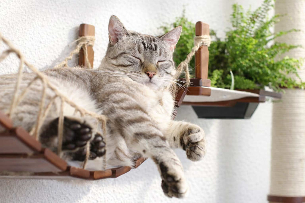 Wall-Mounted Cat Tree product image 5