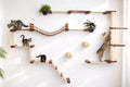 Wall-Mounted Cat Tree product image 11