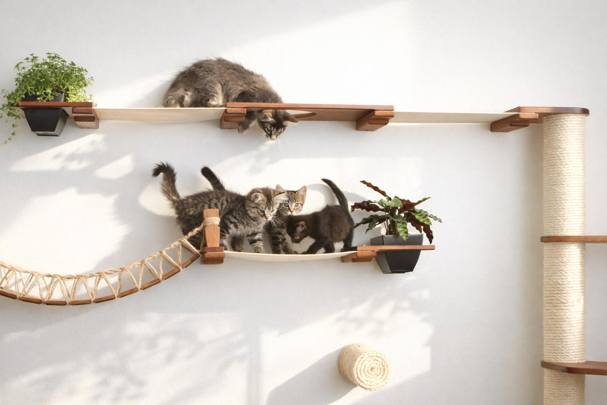 Wall-Mounted Cat Tree product image 13