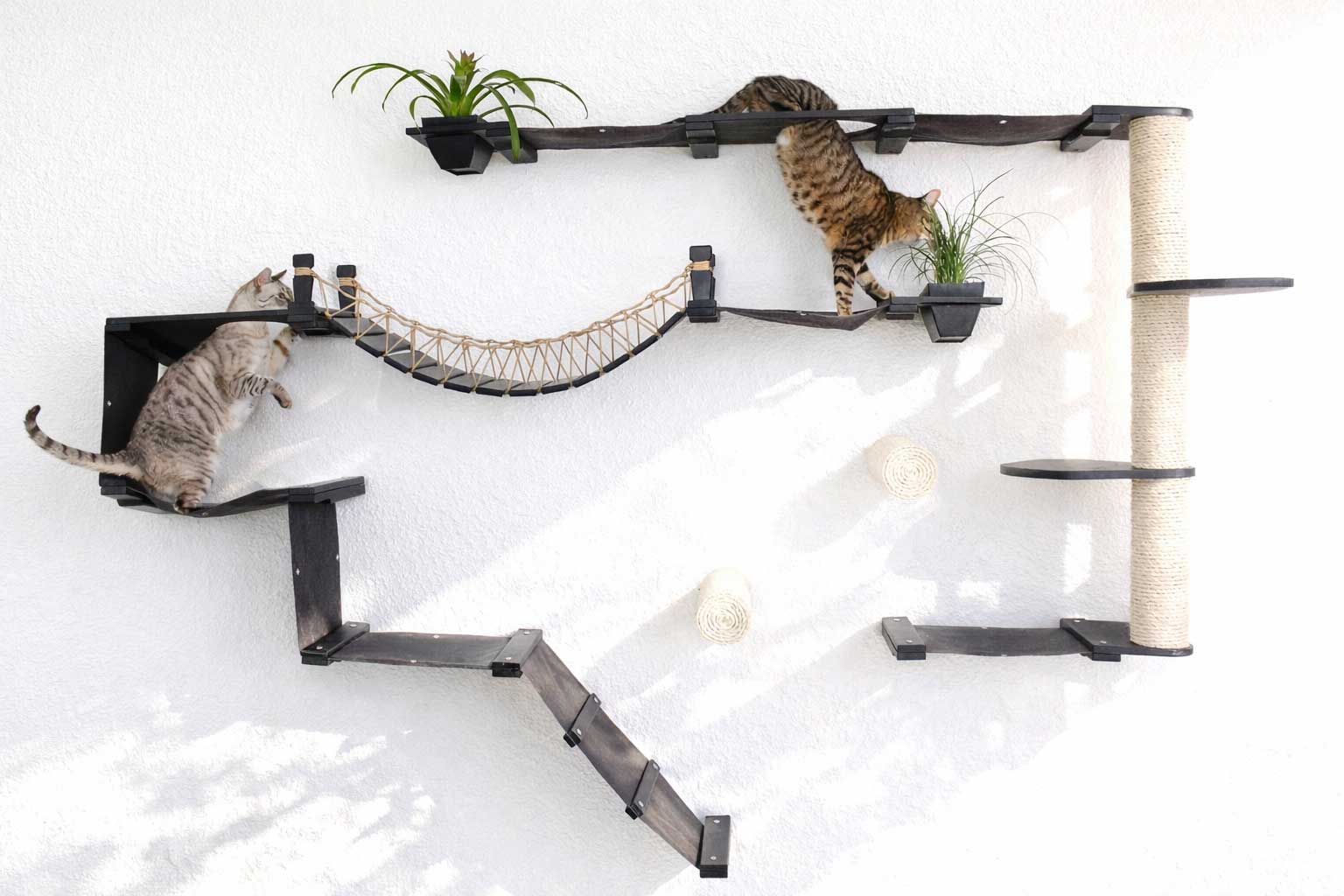 Wall-Mounted Cat Tree product image 19