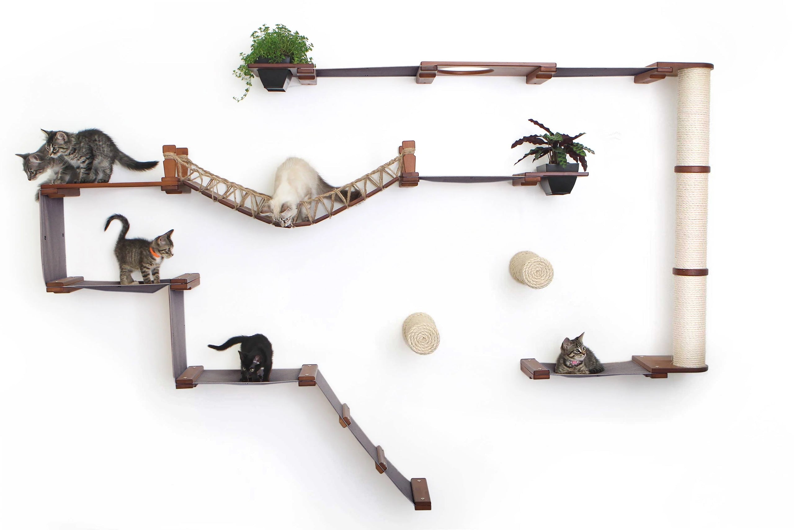 Wall-Mounted Cat Tree product image 33