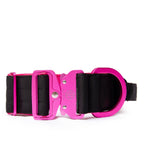 Dog Collar product image 1