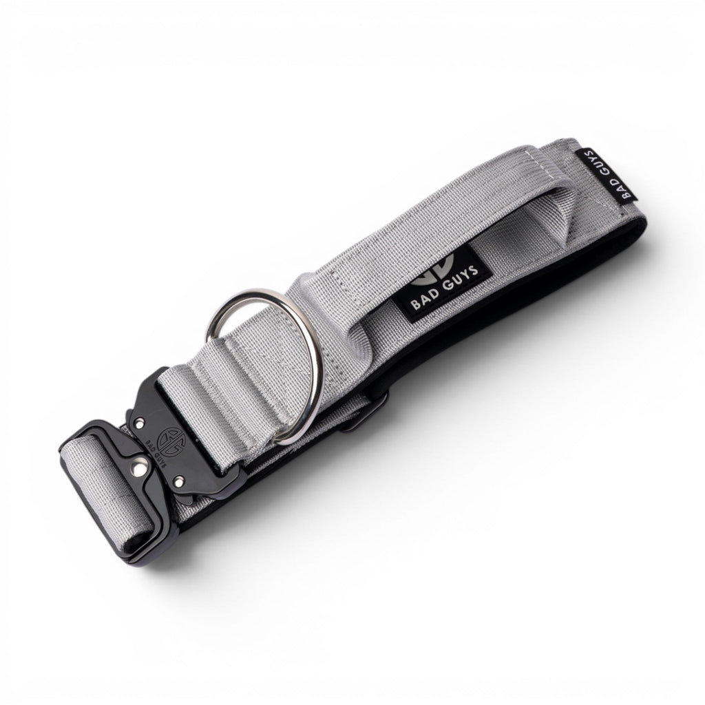 Dog Collar product image 6
