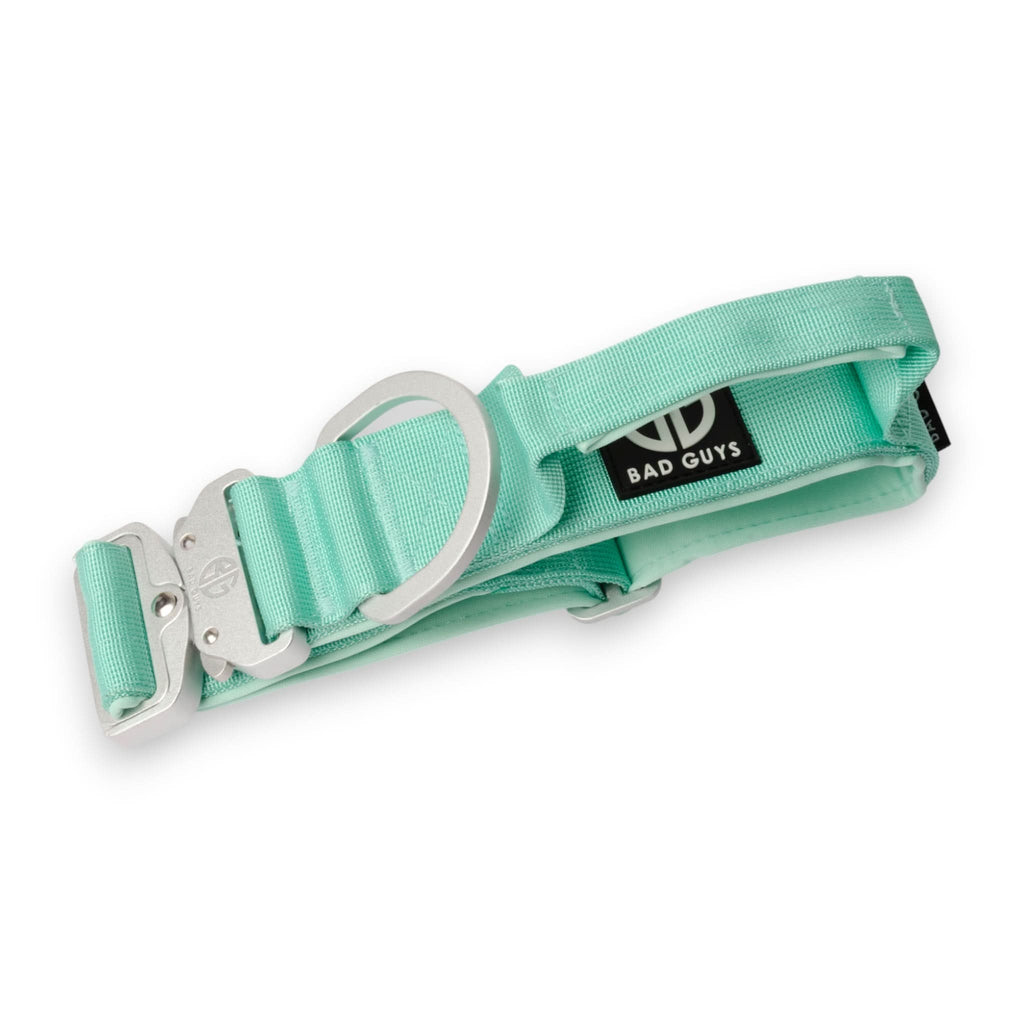Dog Collar product image 14